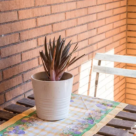 Bed & Breakfast Travelershome Ciampino Suite Ciampino